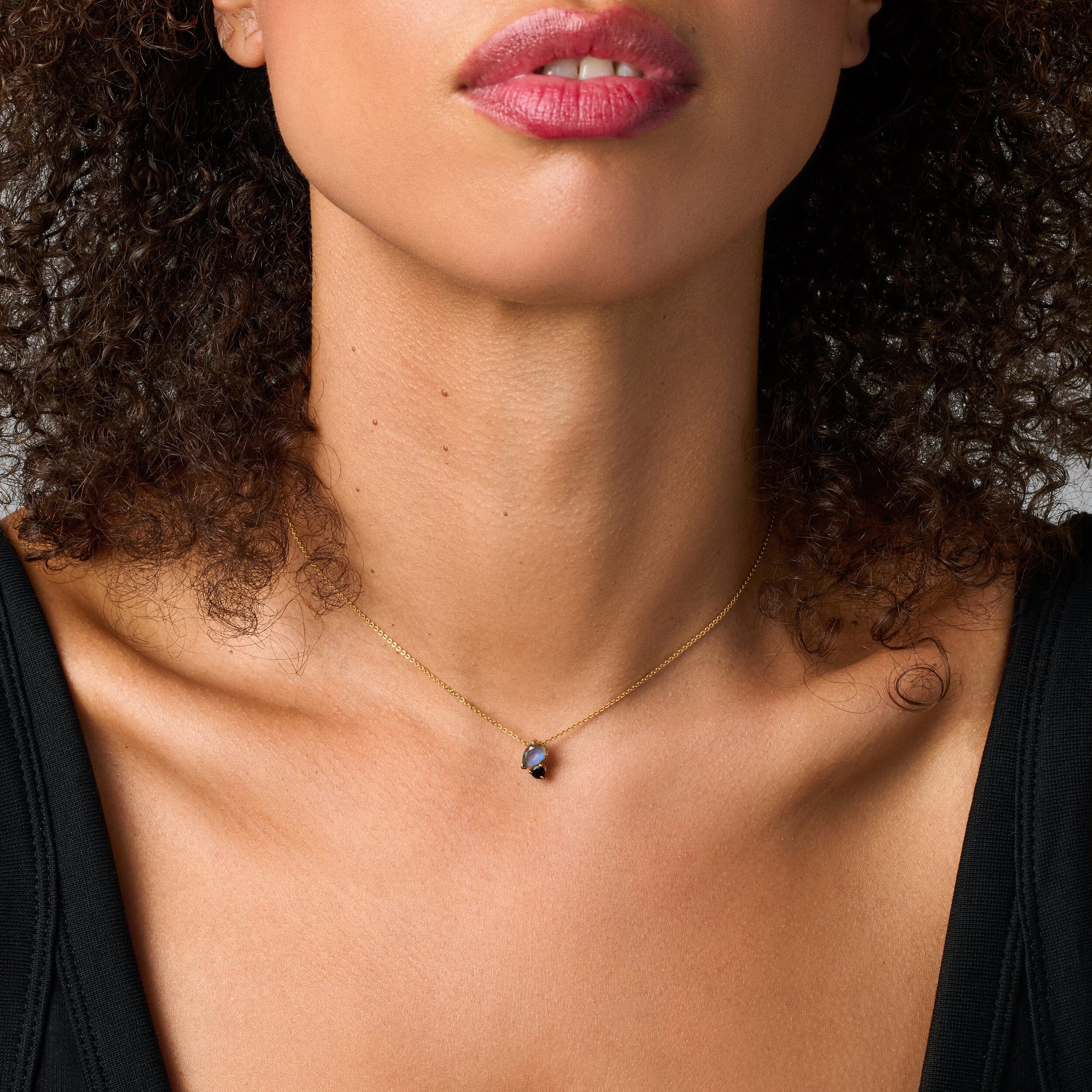 Labradorite & Black Obsidian - Toi Et Moi Necklace - Image 22